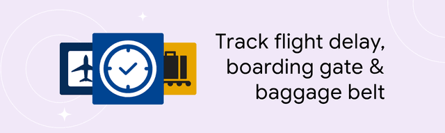 Track flight delay, boarding gate & baggage belt